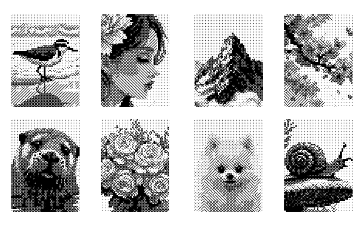 Eight finished monochrome designs: a shorebird, a portrait, a mountain, a blossoming branch, a bulldog, roses, a fluffy puppy and a snail.